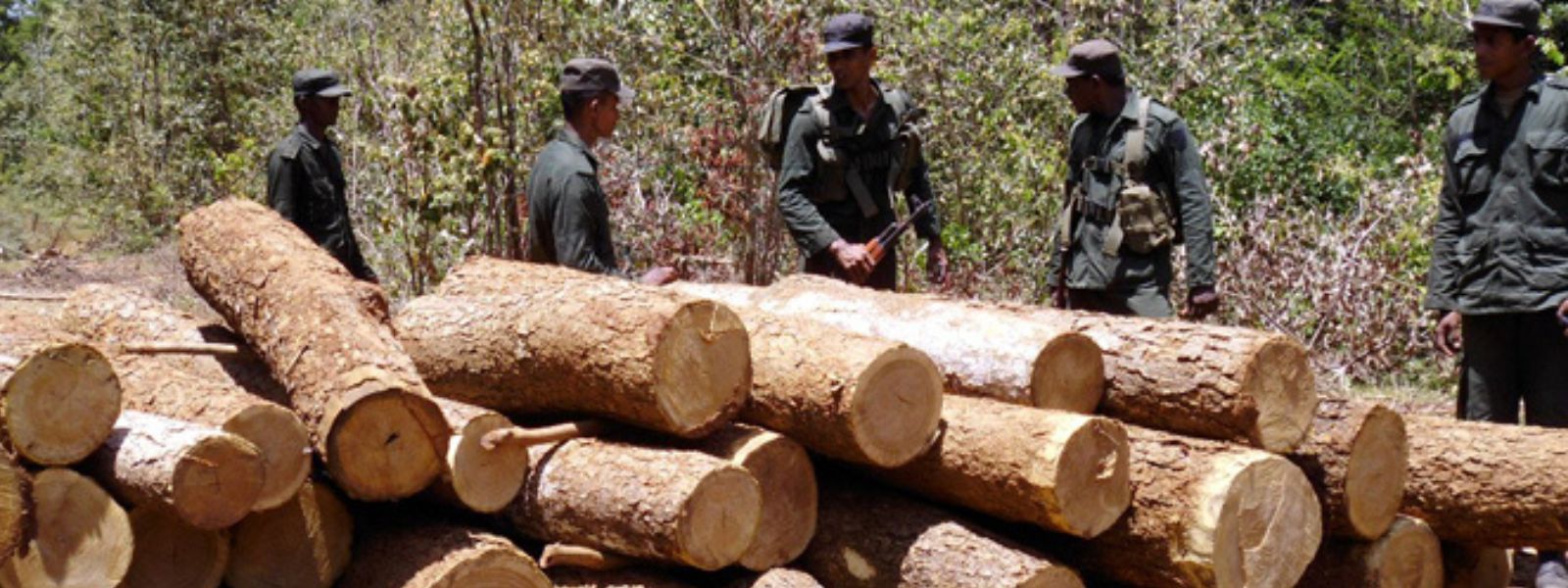 Over 100 arrests in protected areas